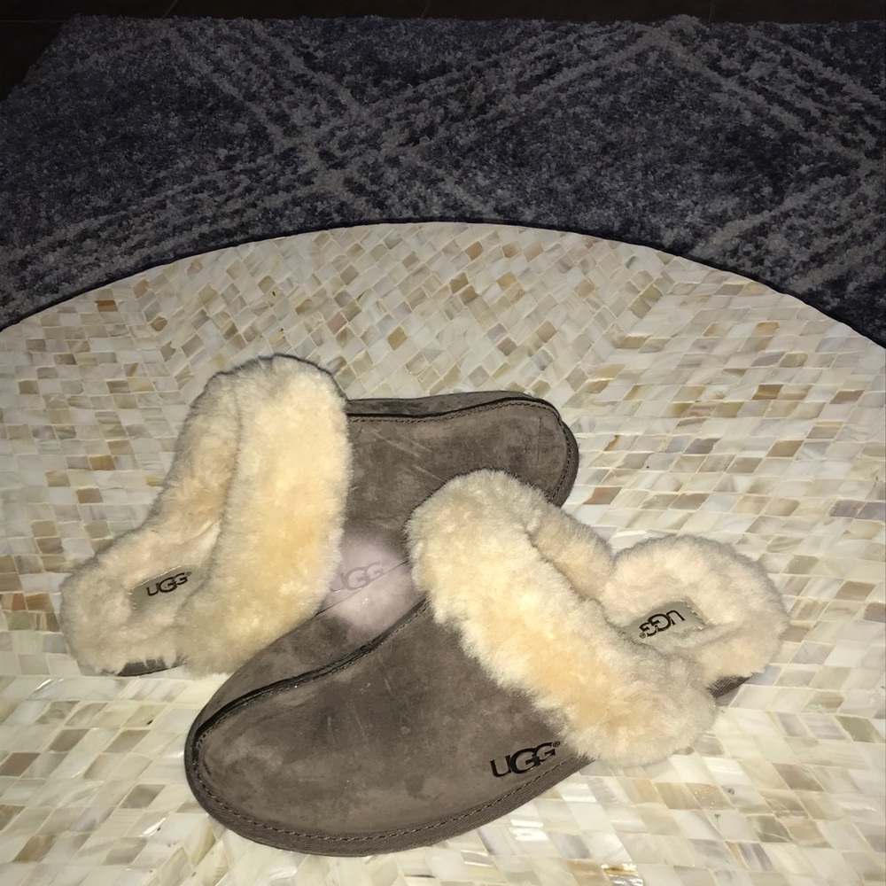 Brand new uggs